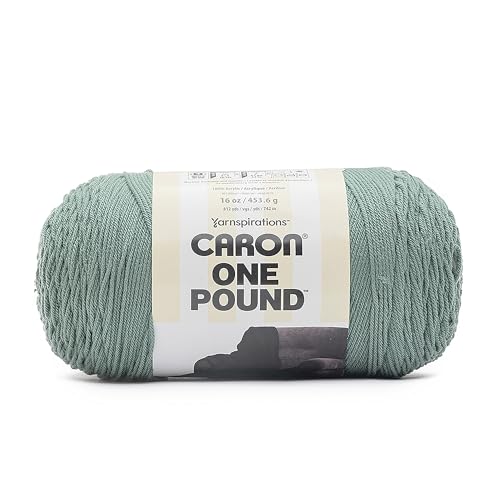 Caron One Pound Hosta-Garn, 100% Acryl, Nr. 4 Kammgarn, Größe M, 800 m, 2 Stück von Caron