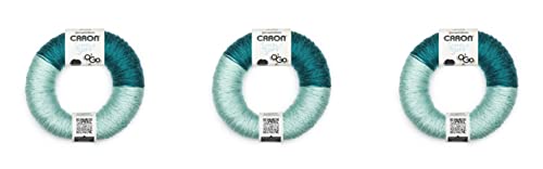 Caron Simply Soft O'GO Garn, Pagoda/Glacier 3 von Caron