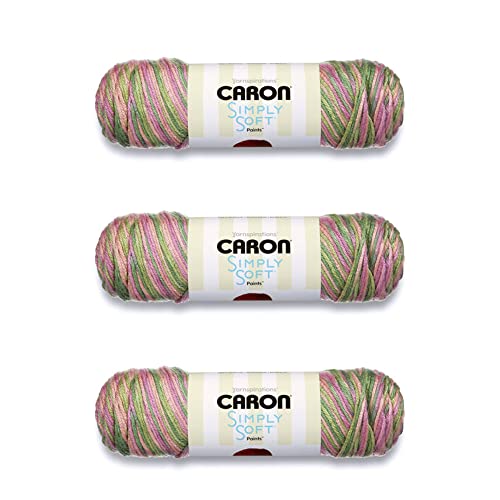 Caron Simply Soft Rose Garden Paints Garn – 3 Packungen mit 141 g – Acryl – 4 Medium (Kammgarn) – 230 Meter – Stricken/Häkeln von Caron