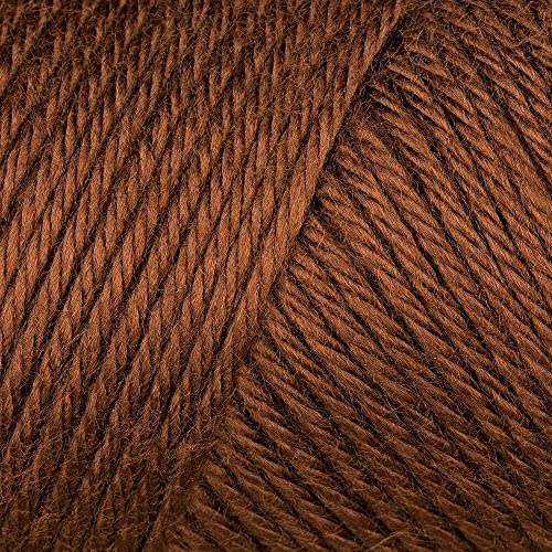 Caron Simply Soft Yarn 170g/288m Strang-Garn 6 oz Chocolate von Caron