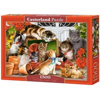 Kittens Play Time - Puzzle - 1500 Teile von Castorland