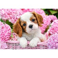Pup in Pink Flowers - Puzzle - 500 Teile von Castorland