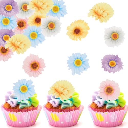 Catelves Gänseblümchen Tortendeko Essbar,48 Stück Essbare Blumen für Torte,Essbare Blüten Cupcake Topper Geburtstag,Blumen Deko Torte Essbar,Blumen Kuchen Deko Essbar Papierblumen für Hochzeit Taufe von Catelves