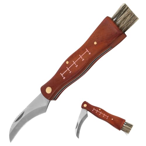 Catime Pilzmesser mit Bürste, Gartenmesser, Klappbares Kleines Taschenmesser, Outdoor Messer mit Holzgriff, Folding Small Pocket Knife, Klappmesser für Pilzesammeln, Schwammerlmesser mit Pinsel von Catime