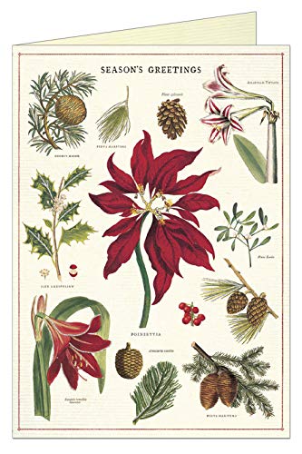 Cavallini Papers Christmas Botanica Boxed Notes, Multicolor von Cavallini