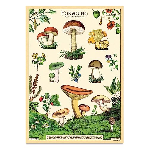 Cavallini & Co. Forage Wrapping Paper von Cavallini