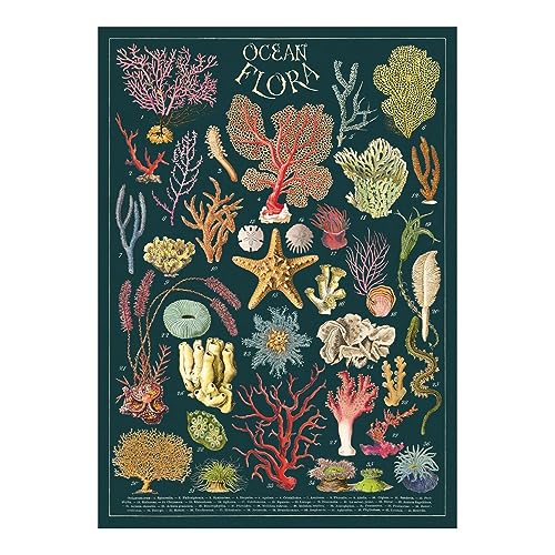 Cavallini & Co. Ocean Flora, dekorative Papierfolie, 50,8 x 71,1 cm von Cavallini