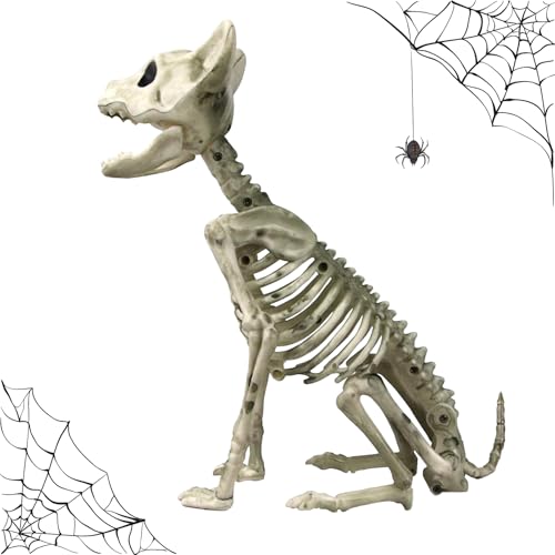 CavspkArt Halloween Katzen Skelett,Halloween Knochengerüst für Dekoration,Halloween Cat Bones Ornament für Halloween Innen Garten Dekorationen,Halloween Katzen Skelett für Karneval,Horrorparty von CavspkArt