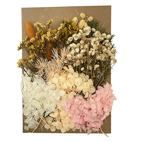 Cayway DIY Natürliche Getrocknete Blumen, Getrocknete Gepresst Blumen Gemischte Getrocknete Blätter für DIY Basteln Handwerk Epoxidharz Scrapbooking Dekoration von Cayway