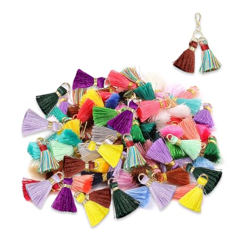 Ceihwa 80 Stück Bunt Quasten Anhänger 2cm Tassel Mini Fransen Handgefertigtes Quasten zum Basteln Schlüsselanhänger Quasten für Lesezeichen Troddel Anhänger Tassel Anhänger für DIY Schmuck von Ceihwa