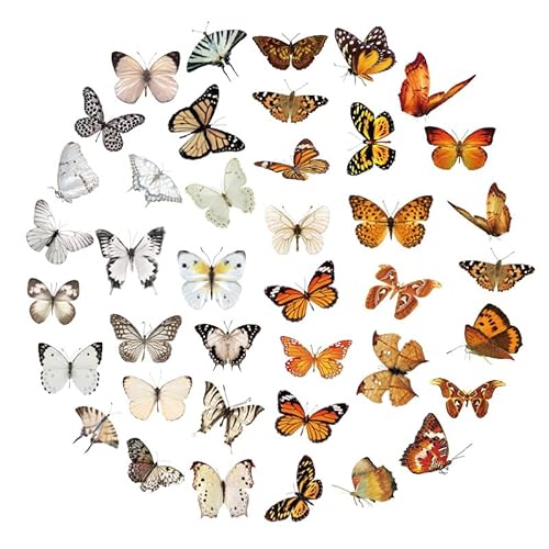 Ceihwa Sticker Schmetterlinge Selbstklebend Dekorative Aufkleber Vinyl Wasserfest Klein Schmetterling Aufkleber Transparent Scrapbooking Butterfly Stickers PET für Journal,Bullet,DIY Craft,Laptops von Ceihwa