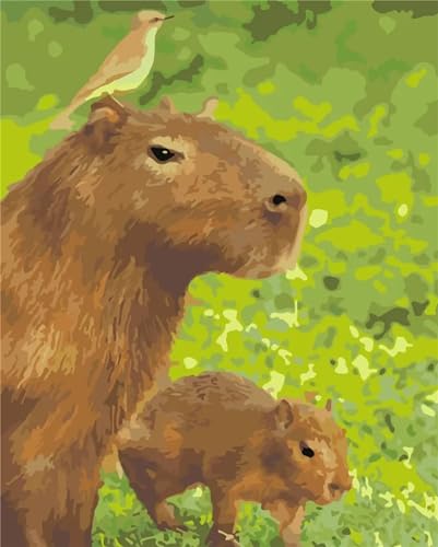 Malen Nach Zahlen Erwachsene Capybara-Tiere DIY Handgemalt Ölgemälde Leinwand Kits für Erwachsene Kinder mit Pinseln Acrylpigment Zeichnung Paint by Numbers für Haus Wand Decor 40x50cm,ohne Rahmen von Cekog