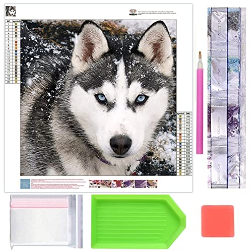 DIY 5D Diamond Painting, Crystal Rhinestone Embroidery Pictures Arts Craft for Home Wall Decor Husky 11.8 x 11.8 von Cenda