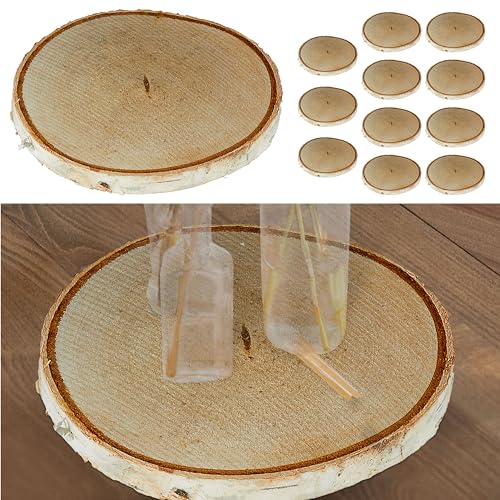 Cepewa Baumscheibe 12er Set Holzscheibe │ Birke Naturprodukt Ø12x1cm │Scheibe Holz Holzplatte Dekoelement (1 x 12er Set Baumscheibe Ø12x1cm) von Cepewa