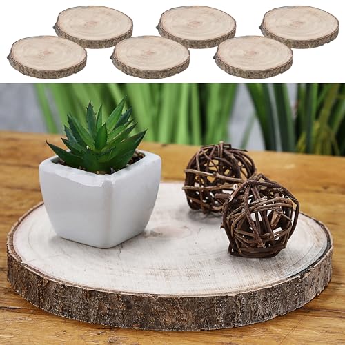 Cepewa Baumscheibe 6er Set Holzscheibe │ Paulownia Naturprodukt Ø17x2cm │Scheibe Holz Holzplatte Dekoelement (1 x 6er Set Baumscheibe Ø17x2cm) von Cepewa