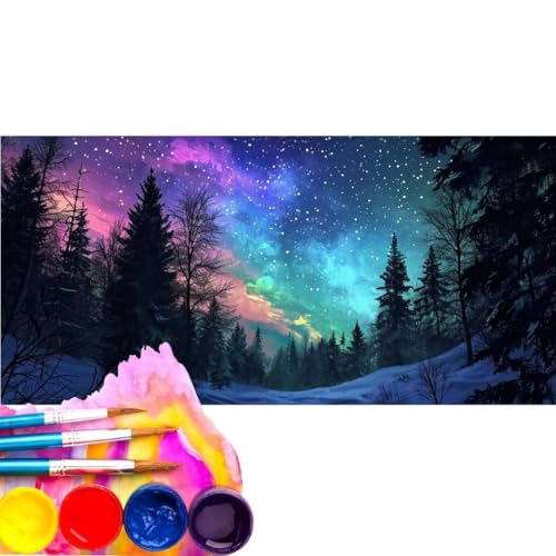 Malen Nach Zahlen Erwachsene Kit, Malen Nach Zahlen Landschaft Aurora Borealis Anfänger mit Pinseln und Acrylfarben, DIY Handgemalt Ölgemälde Basteln Set für Home Wall Deco (Rahmenlos) 100x200cm wk-57 von Cexeqee