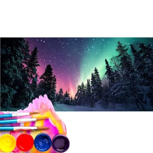 Malen Nach Zahlen Landschaft Aurora DIY Malen nach Zahlen für Erwachsene, DIY Öl Leinwand Gemälde Anfänger, DIY Malen Nach Zahlen mit Pinseln und Acrylfarben, für Home Décor (Rahmenlos) 20x60cm wk-16 von Cexeqee