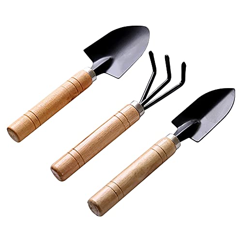 Changtai Gartenwerkzeug Set, 3-teiliges Mini Gartengeräte Set Schaufel Blumenschaufel Rechen Garten Zubehör für Bonsai Werkzeug Pflanze Topfblumen Pflanzen von Changtai