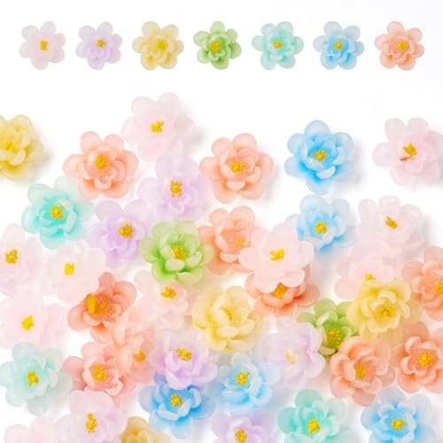 Cheriswelry 40 Stück Blumen-Cabochons, leuchtende Harzperlen, dekorative Perlen, leuchten im Dunkeln, florale transparente Cabochons für Haarschmuck, Scrapbooking, Fotorahmen von Cheriswelry