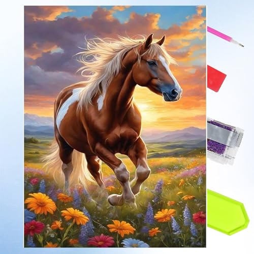 Cheukka Diamond Painting Set,Pferd 5D Diamant Painting Bilder,Pferde Diamond Painting Kits,DIY Mosaikherstellung Diamond Art Kits Diamant Malerei Set für Erwachsene und Kinder,Haus Wanddeko 30x40cm von Cheukka