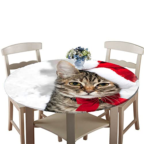 Chickwin Runde Tischdecke Abwaschbar, 3D Weihnachten Elastische Kante Tischdecken, 100% Polyester Wasserdicht Lotuseffekt Tischdecken für Küche Garten Balkon Party (120cm,Amerikanisch Kurzhaar) von Chickwin