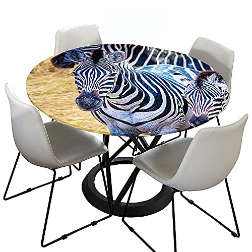 Chickw1 Tischdecke Runde Wasserdicht Abwaschbar 3D Zebradruck Tischschoner Elastische Kante, Tischtuch aus Polyester für Küche, Esszimmer, Garten, Balkon (Wiese,120cm) von Chickwing