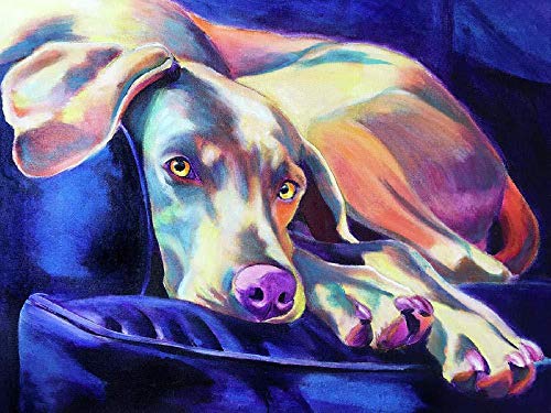 Chrissny Weimaraner Malen nach Zahlen 40x50cm DIY Leinwand Gemälde für Erwachsene und Kinder mit 3 Bürsten und Acrylfarben Home Haus Dekor 16 x 20 Inch von Chrissny