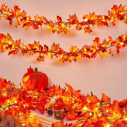 Ciskotu Herbst Ahornblätter Lichterkette, 2.2+0.8M 31LED Herbstgirlande Lichterkette Halloween Deko mit Stecker, Herbst Girlande dekoration Innen und Außen, für Erntedankfest, Halloween, Party von Ciskotu