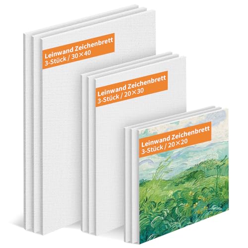 Ciusdkler Ein Satz von 9 Stück Leinwand Set, Leinwand Zum Bemalen (3 STK-20×20cm, 3 STK-20×30cm, 3 STK-30×40cm), Leeren Leinwänden, Leinwänden für Acrylfarben, Öl und Aquarell von Ciusdkler