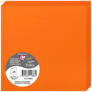 10 x Clairefontaine Doppelkarte Pollen 135x135mm 210g VE=25 Stück kapu von Clairefontaine