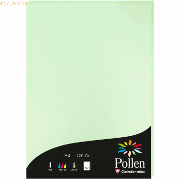 10 x Clairefontaine Papier Pollen A4 120g 50 Blatt grün von Clairefontaine