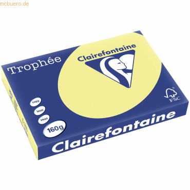 4 x Clairefontaine Kopierpapier Trophee A3 160g/qm VE=250 Blatt narzis von Clairefontaine