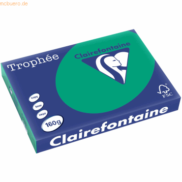 4 x Clairefontaine Kopierpapier Trophee A3 160g/qm VE=250 Blatt tannen von Clairefontaine