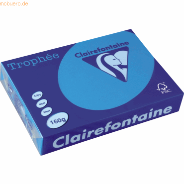 4 x Clairefontaine Kopierpapier Trophee A4 160g/qm VE=250 Blatt karibi von Clairefontaine