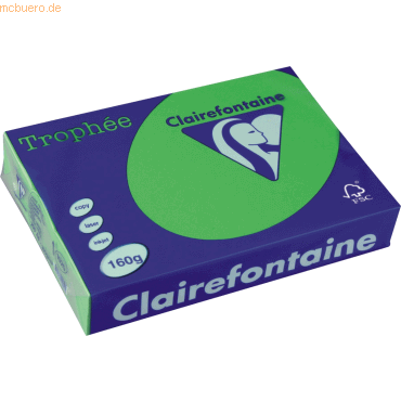 Clairefontaine Kopierpapier Trophee A4 160g/qm VE=250 Blatt minze/hell von Clairefontaine