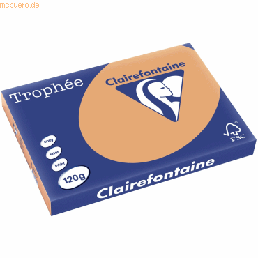 5 x Clairefontaine Kopierpapier Trophee A3 120g/qm VE=250 Blatt camel von Clairefontaine