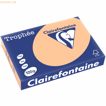 Clairefontaine Kopierpapier Trophee A4 120g/qm VE=250 Blatt aprikose von Clairefontaine