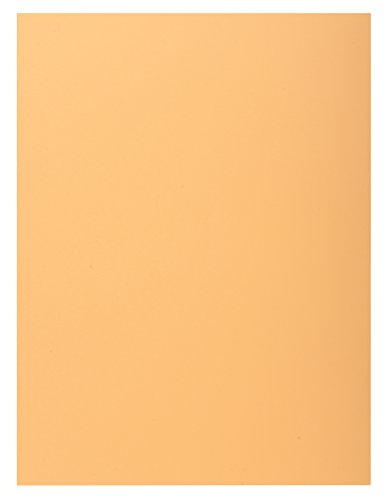 Exacompta 348025E 100er Pack Aktemappen SUPER DIN A4 mit einer Klappe Pastellfarbe orange Exacompta 348025E 100er Pack Aktemappen SUPER DIN A4 mit einer Klappe Pastellfarbe orange von CLAIREFONTAINE