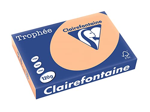 COPIER PAPER TROPHEE A4 120 GRAMS APRICOT von Clairefontaine