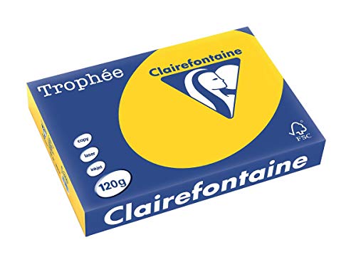 Clairalfa 1206C Universal-Papier Trophee, A4, 120 g/qm goldgelb von Clairefontaine