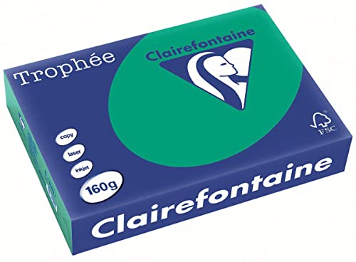 Clairefontaine 1019C - Ries Druckerpapier / Kopierpapier Trophee, intensive Farben, DIN A4, 160g, 250 Blatt, Tannengrün, 1 Ries von Clairefontaine