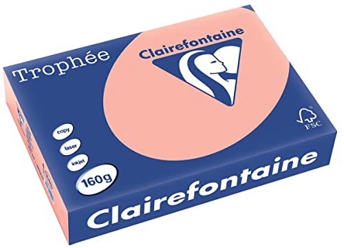 Clairefontaine 1049C - Ries mit 250 Blatt Druckerpapier / Kopierpapier Trophée, DIN A4 (21x29,7 cm), 160g, Pfirsich Pastellfarbe, 1 Ries von Clairefontaine