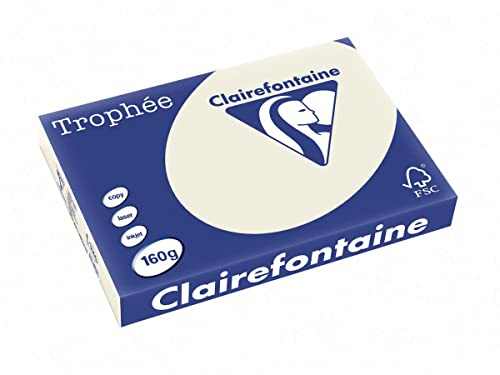 Clairefontaine 1065C - Ries mit 250 Blatt Druckerpapier / Kopierpapier Trophée, DIN A3 (29,7x42 cm), 160g, Perlgrau Pastellfarbe, 1 Ries von Clairefontaine