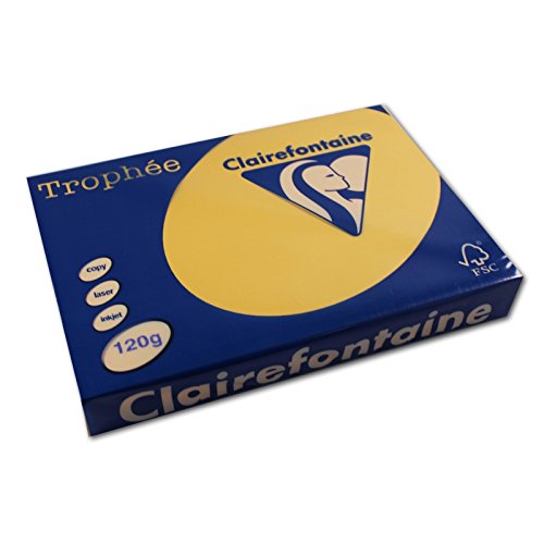 Clairefontaine 1206C - Ries mit 250 Blatt Druckerpapier / Kopierpapier Trophée, DIN A4 (21x29,7 cm), 120g, Goldgelb Pastellfarbe, 1 Ries von Clairefontaine