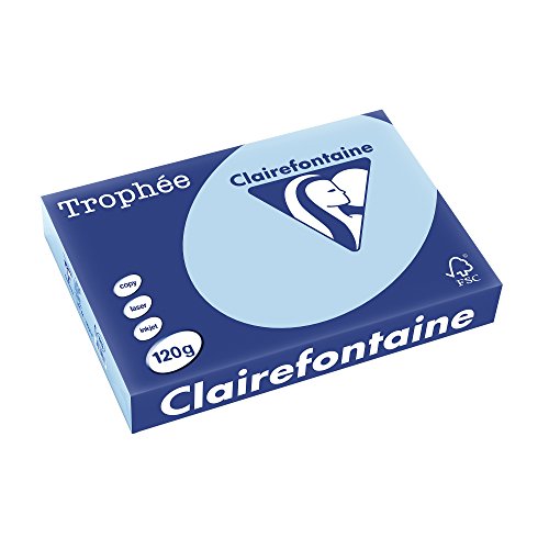 Clairefontaine 1213C - Ries Druckerpapier / Kopierpapier Trophee, intensive Farben, DIN A4, 120g, 250 Blatt, Eisblau, 1 Ries von Clairefontaine