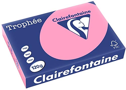 Clairefontaine 1277C - Ries mit 250 Blatt Druckerpapier / Kopierpapier Trophée, DIN A4 (21x29,7 cm), 120g, Heckenrosa Pastellfarbe, 1 Ries von Clairefontaine