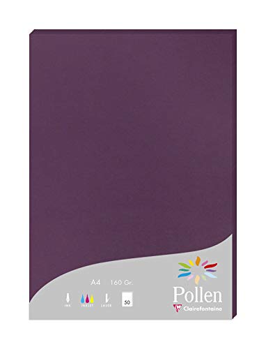 Clairefontaine 14521C Packung mit 50 Karten Pollen 160g, DIN A4, 21 x 29,7cm, Cassis von Clairefontaine