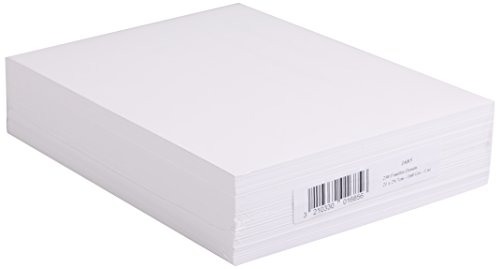 Clairefontaine 1685C - Packung mit 250 Bogen Skizzenpapier 160g, DIN A4 21 x 29,7 cm, ideal für Künstler oder die Schule, weiß, 1 Pack von Clairefontaine