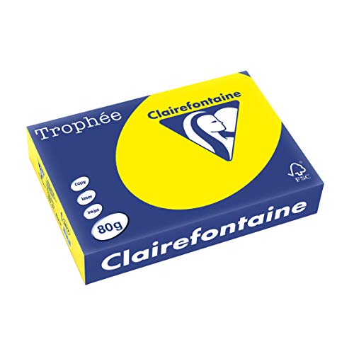 Clairefontaine 1877C - Karton mit 5 Ries Druckerpapier / Kopierpapier Trophee, intensive Farben, DIN A4, 80g, 500 Blatt x 5, Sonnengelb, 1 Karton von Clairefontaine