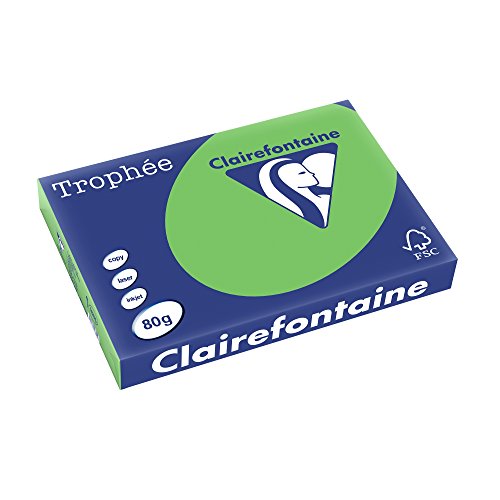 Clairefontaine 1885C - Ries Druckerpapier / Kopierpapier Trophee, intensive Farben, DIN A3, 80g, 500 Blatt, Minze, 1 Ries von Clairefontaine